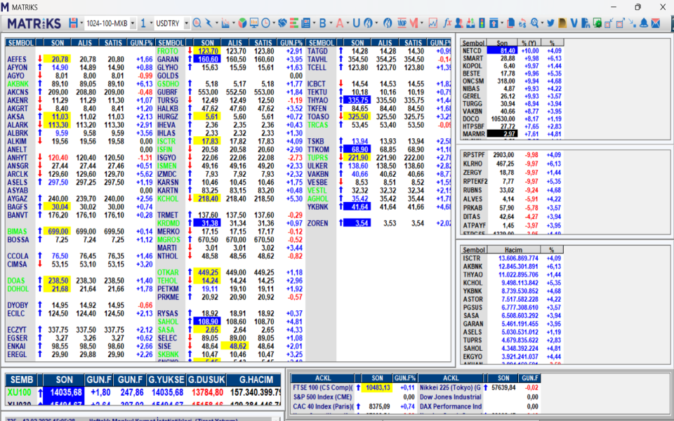 Matriks Veri Terminali